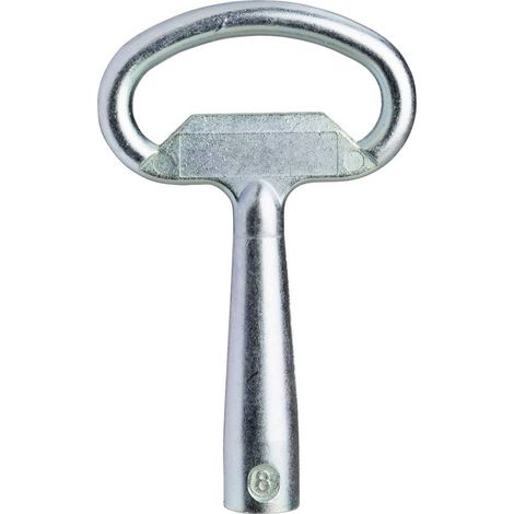 Schneider Electric NSYTC6CRN NSYTC6CRN tagliente Inserto serratura Bloccaggio 1 pz.