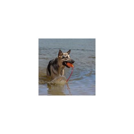 Giocattolo galleggiante per recuperare l'acqua, giocare, fare esercizio e altro ancora - Giocattolo per cani in gomma naturale con interno in schiuma e corda per lanci più lunghi - Arancione, per cani