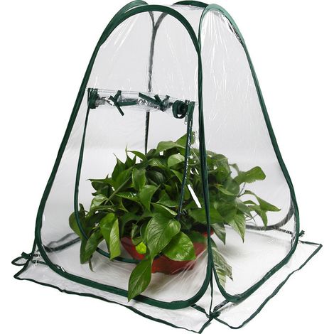 Filiyano-Mini serre pliable, bâche en PVC pour intérieur et extérieur, petite serre de jardin portable - 70 x 70 x 80 cm (1/5)