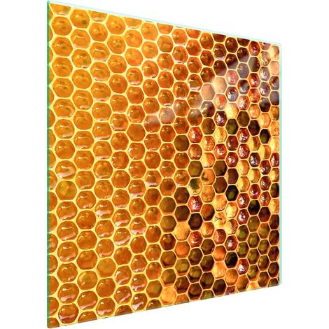 Piastra protettiva in vetro per piano cottura 50x52 Miele (1/5)