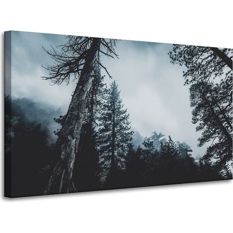 Lienzo impreso Naturaleza Copas de los árboles 100x60 cm