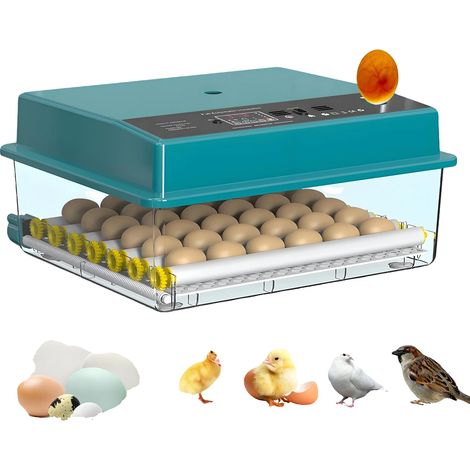 Incubadora de huevos, capacidad para 36 huevos, rotación automática, 36 huevos, alimentación única. (1/2)