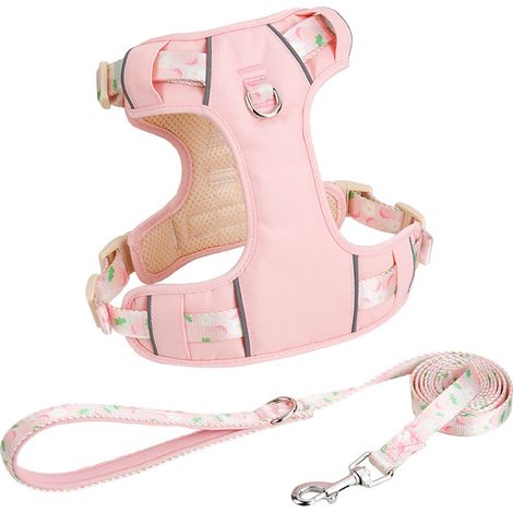 Laisse pour chien, gilet d'été, harnais respirant, laisse pour chiens de toutes tailles (Corgi, Bichon, etc.), rose, taille XXS (tour de poitrine 84-109 cm, environ 2,5-5 kg). (1/5)