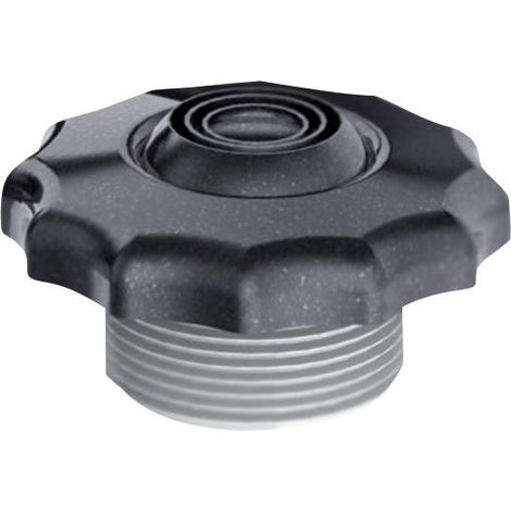 Buse à jet orientable Elegance avec cache-vis - Weltico Gris anthracite Gris anthracite
