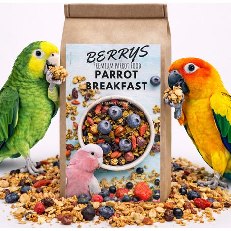 Petit-déjeuner chaud aux baies pour perroquets Plat pour le petit-déjeuner ou le dîner des perroquets Aliment chaud pour perroquets 150 g (1/4)