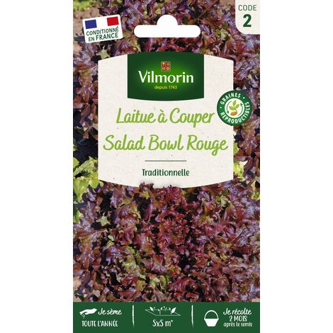 Laitue à couper Red Salad Bowl Vilmorin