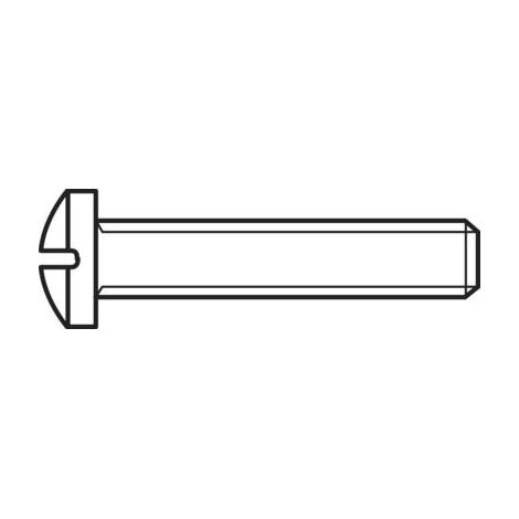 Vis à tête bombée TOOLCRAFT 827129 100 pc(s) M2 10 mm tête bombée cruciforme acier N/A C54950 (1/2)