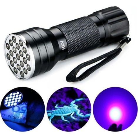 Lampe torche UV (1/5)