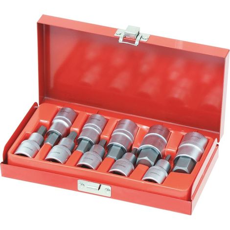 Set mit 10 Bits und Sechskant-Steckschlüsseln 1/2' 4 bis 19mm DRAKKAR TOOLS - 10773 (1/2)