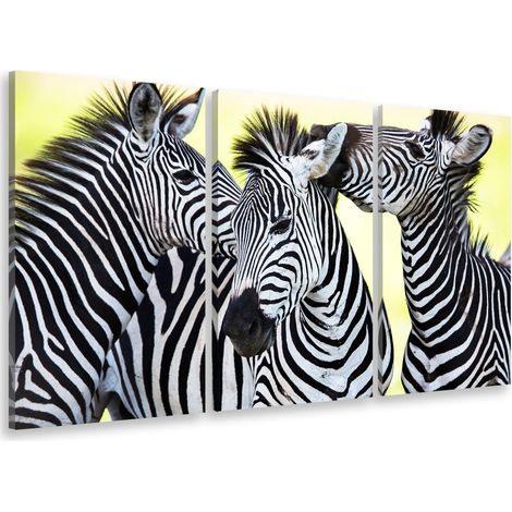 Tableau triptyque Tableau photo trio de zebre - 90x60 cm (1/5)