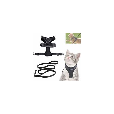 Harnais avec laisse pour chats, Harnais et laisse pour chats, Harnais réglable pour chatons, Collier harnais pour chats, Gilet respirant, Pour chat européen, chat persan (noir, S) (1/5)