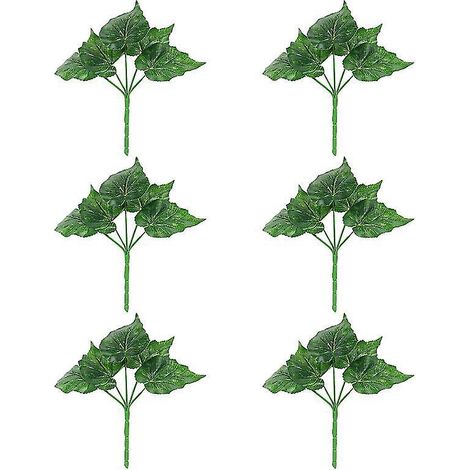 6 Mini-Bonsai im Topf