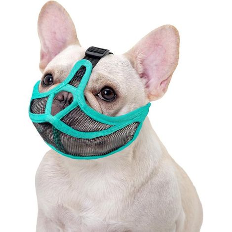 Bozal corto para perros Malla transpirable, ajustable, apto para bulldogs – Antimordeduras y antiladridos (M, verde) (1/4)
