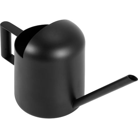 Mini arrosoir en acier inoxydable noir de 300 ml pour plantes de jardin (1/5)