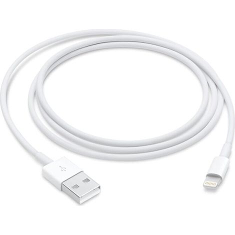 Apple Cble Lightning vers USB (1 m) (1/4)