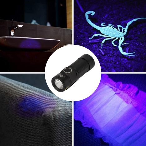 Lampe torche portable mini LED UV 395 nm, détecteur de taches d'urine de chien, durcisseur de résine anti-contrefaçon (1/5)