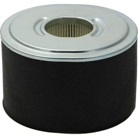 Filtro aria tondo BRIGGS ET STRATTON 592605