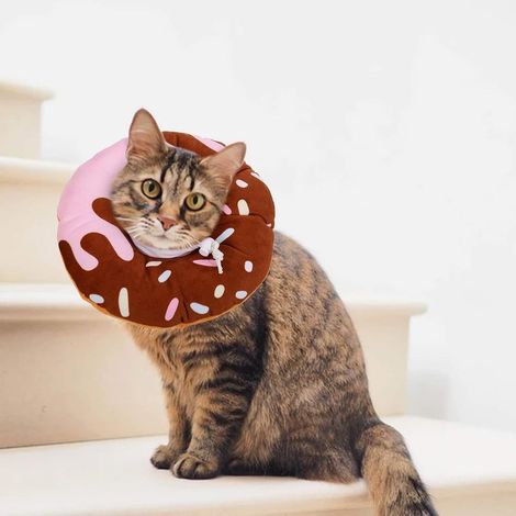 Protective collar for cats – Soft, scratch- and lick-resistant collar – Comfortable and cute for dogs and cats (M) (1/5)