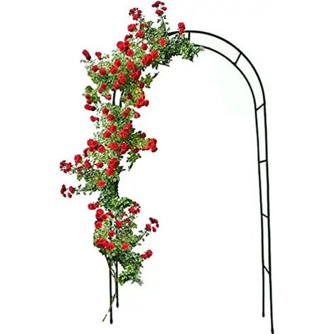 Arco Da Giardino Per Rose Piante Rampicanti Traliccio Pergolato Vite Decorazione Design Per Eventi Matrimoni Viali Sostegno In Metallo Verde Scuro 240 x 140 x 38 cm (1/5)