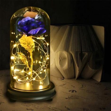 Rose Préservée - Dôme En Verre Avec Lumière LED - Socle En Bois - Rose Plaqué Or 24K - Cadeau Mariage Anniversaire Saint-Valentin - 1 Pièce (1/5)