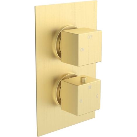 Signature React Thermostatic 1 Outlet Concealed Shower Valve Dual Handle - Brushed Brass