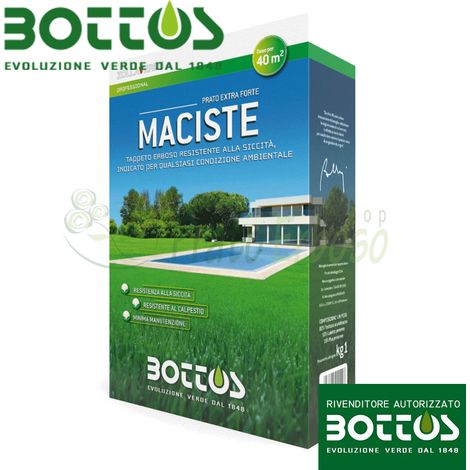 Maciste - Sementi per prato da 1 Kg
