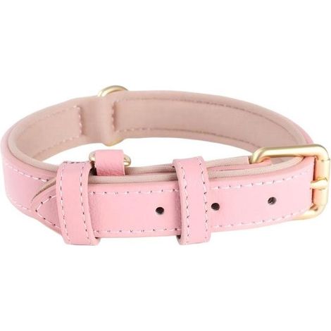 Collare regolabile per cani, anello per collare per animali domestici, accessorio decorativo per collare, collare morbido imbottito, collare decorativo (1/5)