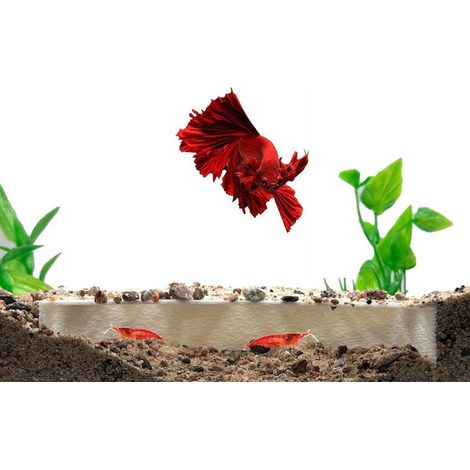 Protector Pour Élevage De Crevettes - Abri En ABS Blanc Pour Tortues Et Crustacés - 2 Pièces (1/5)