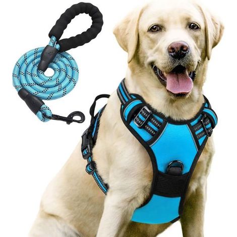 Filiyano-Harnais pour chien, réglable, anti-traction, respirant et réfléchissant, avec corde de 1,5 m - Bleu L (1/5)