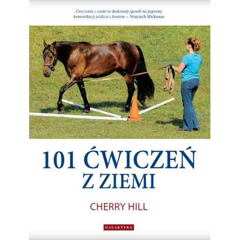 101 esercizi a terra