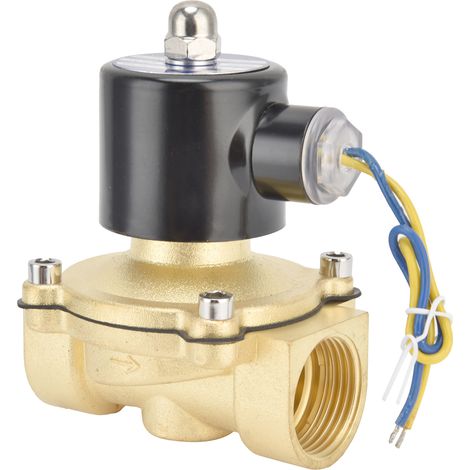 Électrovanne normalement fermée, à membrane en laiton à action directe, 25 mm AC 220 V (1/5)