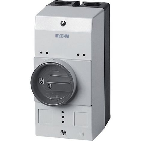 EATON Caja aislante IP55, borne integrado, 260089