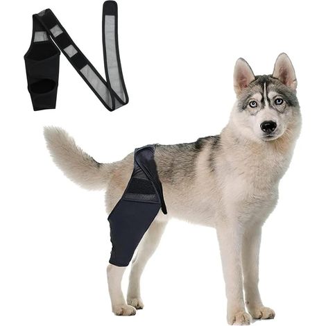 Rodillera para la pata trasera canina, para la rehabilitación y tratamiento de la rotura del ligamento cruzado. (1/5)