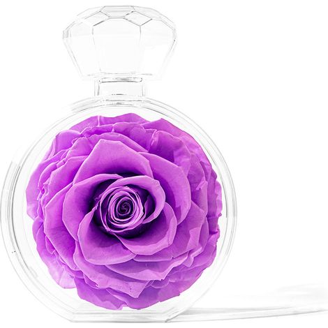 Acrylic bottle with preserved flowers for home decoration, Valentine's Day gift (1/4)