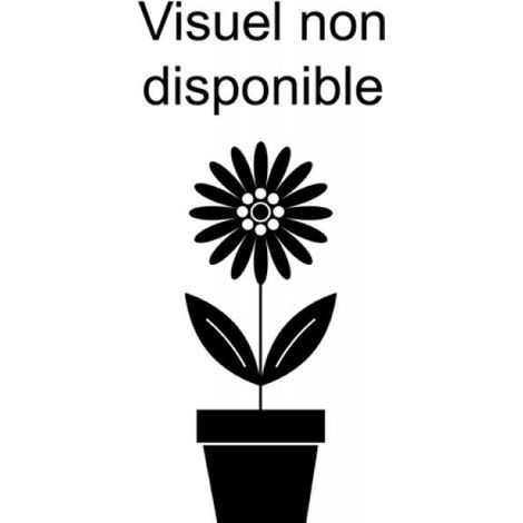 Pêcher 'Des Vignes blanche' Pot de 12L/15L, Demi-Tige (1/2)