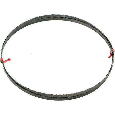 DEWALT Dt8481 Bandsaw Blade 12Mm