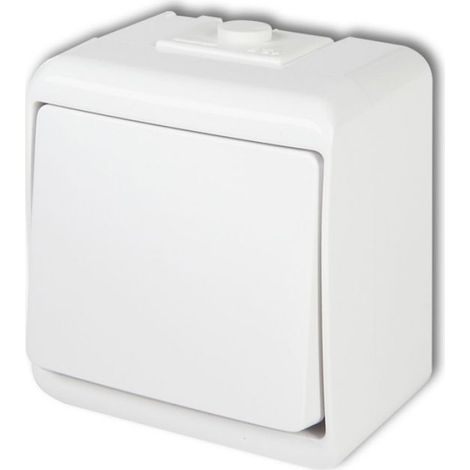 Interrupteur Simple - IP54 - 10 A - 250 V - Bornes À Vis - Pour Garage Atelier Salle Humide - Blanc - Unité (1/2)