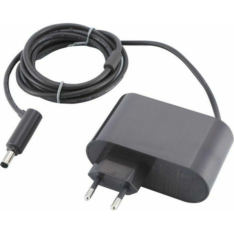 Chargeur pour Dyson V6 V7 V8 DC58 DC59 DC61 DC62 SV03 SV04 SV05 SV06 SV07, Aspirateur AC Adaptateurs, Input 100-240V, Output 26.1V, Fontainebleau