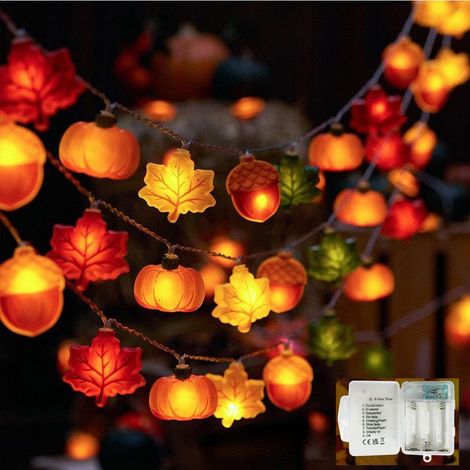 Guirlande Lumineuse LED Halloween,3.8M 25 LED,8modes avec Minuteur,Alimentée par Batterie,Gland et Feuille d'érable (1/5)