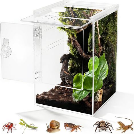 Ouverture Frontale Terrarium,360° Rectangle Vivarium 23x15x15CM avec Ventilation Croisée,Etanche Terrarium Acrylique pour Reptiles, Araignée, Escargots, Mante Religieuse, Lézard, Rainette (1/5)
