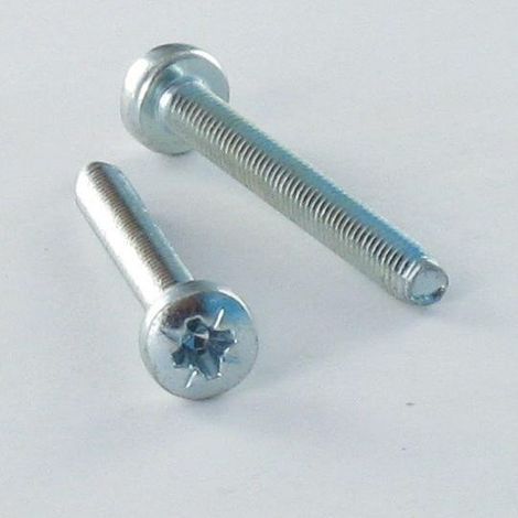 Vis autotaraudeuse tête cylindrique bombée large Pozi 3X10 Acier zingué microvis-1 pièce