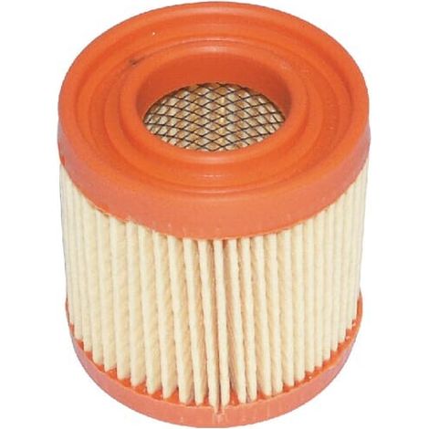 Filtro aria TECUMSEH 23410027