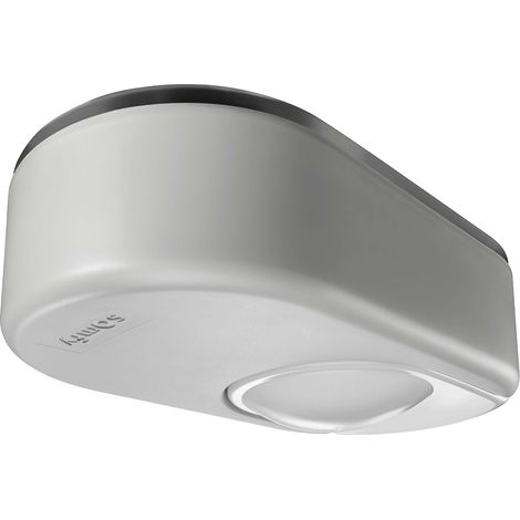 SOMFY 1241573 - Tête moteur de remplacement pour motorisation Dexxo Smart 1000 io