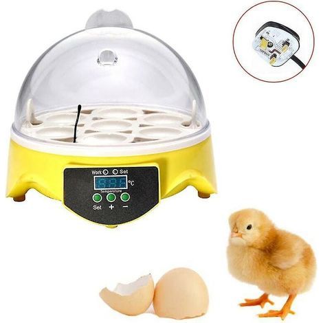 Incubateur Automatique D'Oeufs De Volaille 7 Pièces Incubateur D'Oiseaux De Volaille À Température Contrôlée (1/5)