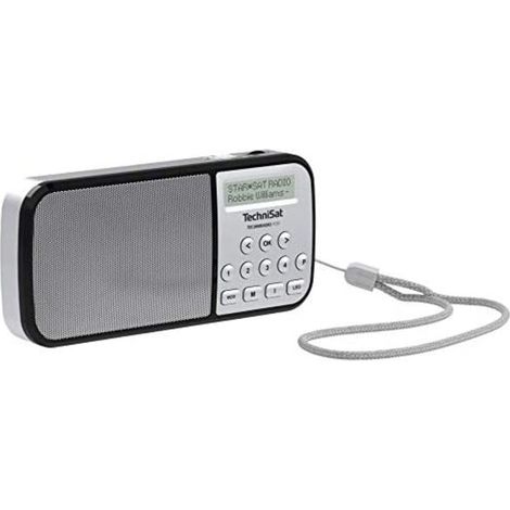 TechniSat Techniradio RDR Taschenradio DAB+, UKW AUX, USB Taschenlampe Silber (1/4)