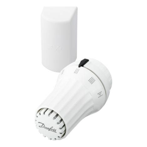 Tête thermostatique liquide bulbe à distance RAE 5056 (1/3)