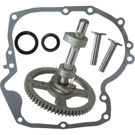 Arbres à cames Briggs & Stratton 793880 793583 792681 791942 795102 Kit de remplacement de came (1/4)