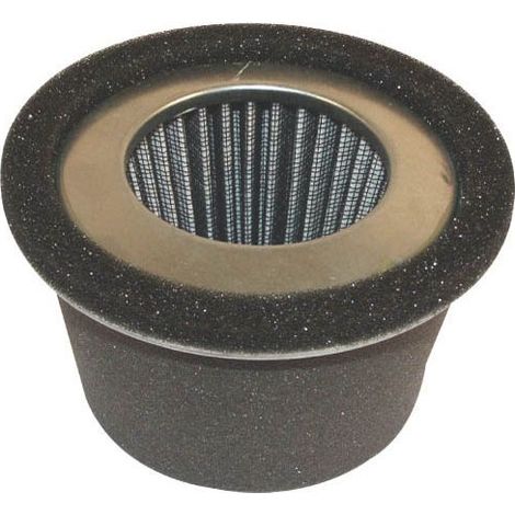 Filtre à Air Adaptable pour Moteur ROBIN