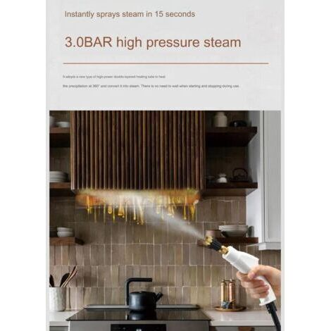 Nettoyeur vapeur manuel haute pression et haute température 110 V/220 V, idéal pour les climatiseurs commerciaux et résidentiels, les hottes de cuisine et les nettoyeurs haute pression pour voitures - (1/2)