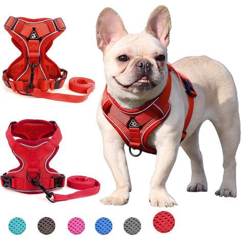 Harnais pour chien de petite et moyenne taille (rouge XL)-